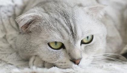小电影最新文章_小电影专题内容整理